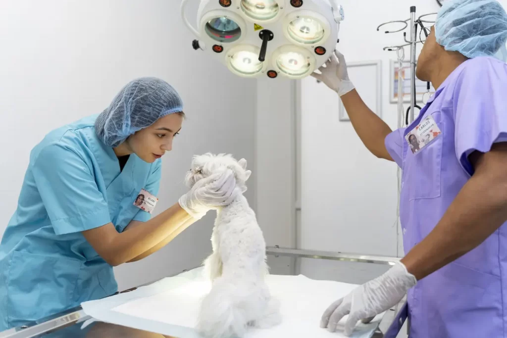 Cirugías Especializadas en Procedimientos de Alta Complejidad