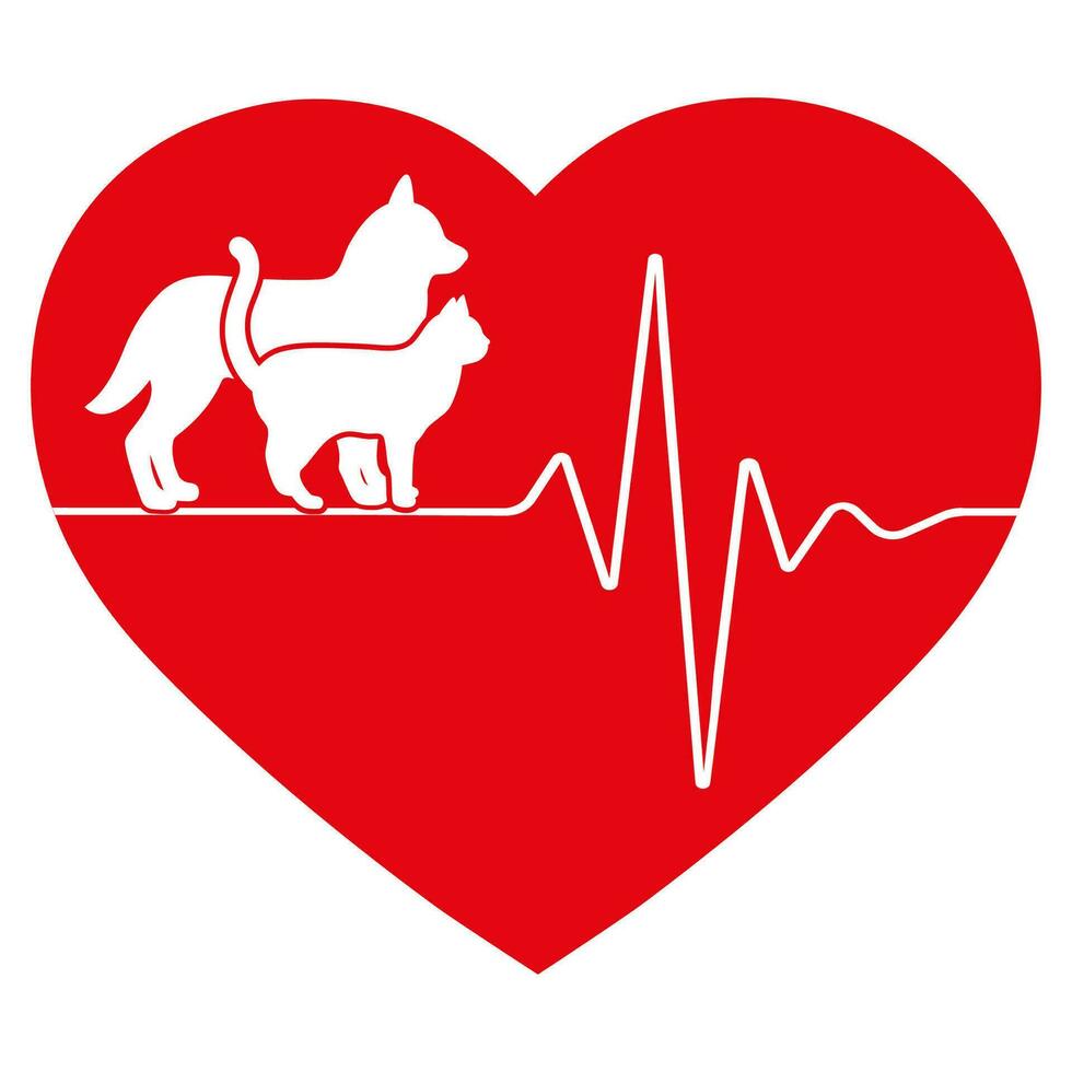 Electrocardiograma para Monitorear la Actividad Eléctrica Cardíaca